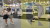 vlcsnap-2026-08-26-11h56m30s582.png